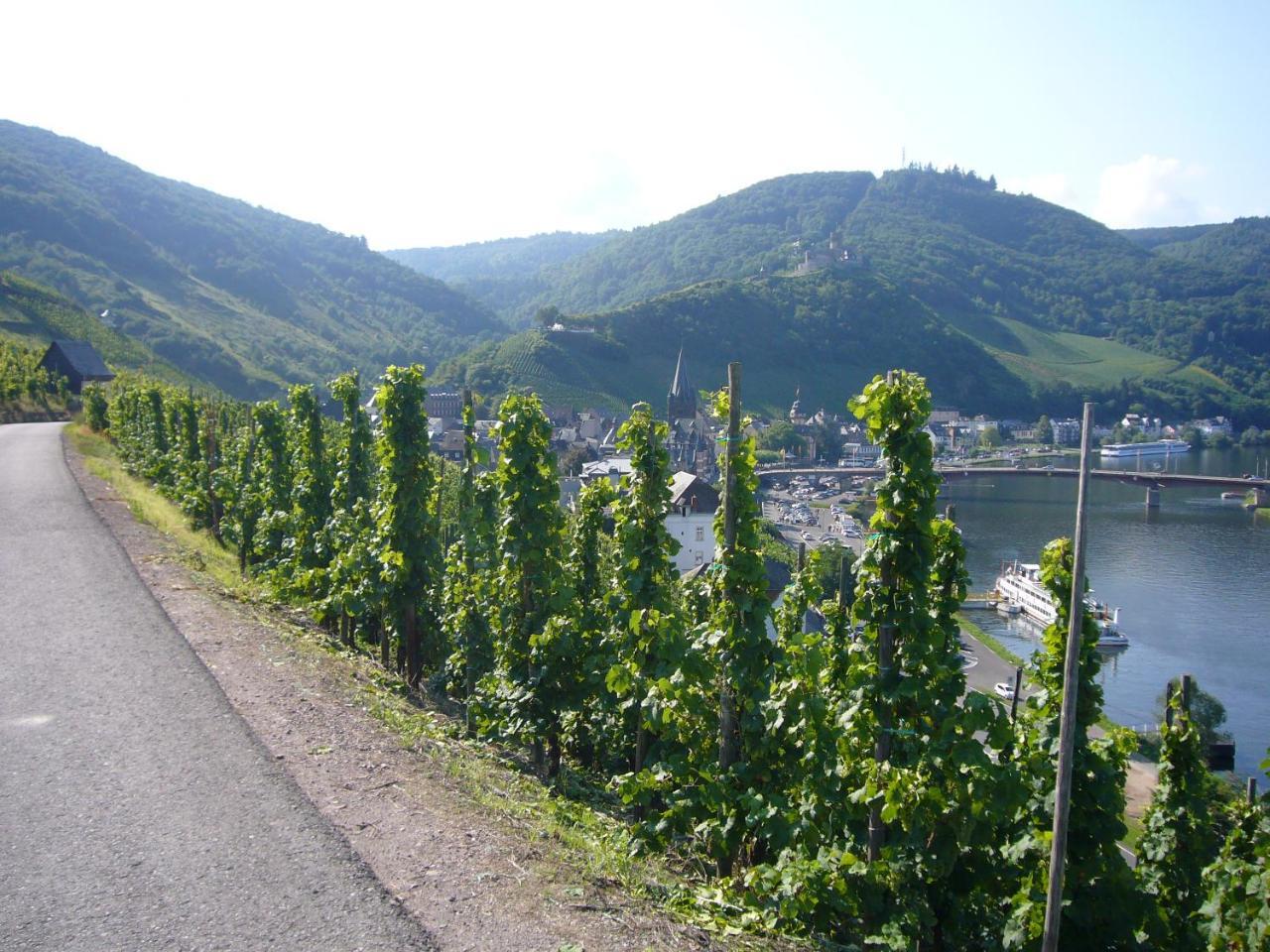 Christiana'S Wein & Art Hotel Bernkastel-Kues Exterior photo